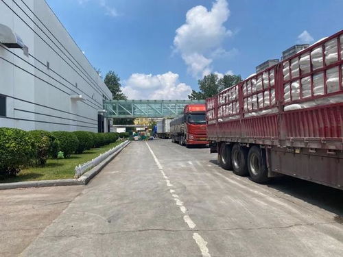直擊河南汛情 鄭州放晴，兩大食品巨頭恢復生產，廠區門口運輸車輛排起長龍